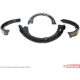Purchase Top-Quality Rear Parking Brake Shoes by MOTORCRAFT - BRPF2 pa1