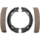 Purchase Top-Quality RAYBESTOS - 745PG - Rear Parking Brake Shoes pa2