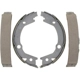 Purchase Top-Quality RAYBESTOS - 845PG - Rear Parking Brake Shoes pa6
