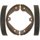 Purchase Top-Quality RAYBESTOS - 870PG - Rear Parking Brake Shoes pa7