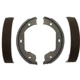Purchase Top-Quality RAYBESTOS - 890PG - Rear Parking Brake Shoes pa1