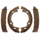 Purchase Top-Quality RAYBESTOS - 964PG - Rear Parking Brake Shoes pa2