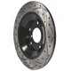 Purchase Top-Quality Rear Performance Rotor by DS-ONE - DS1-981008 pa2