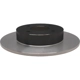 Purchase Top-Quality Rear Performance Rotor by RAYBESTOS - 980308 pa1