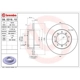 Purchase Top-Quality Rear Premium Rotor by BREMBO - 08.5316.10 (1 Qty) pa6