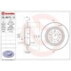 Purchase Top-Quality Rear Premium Rotor by BREMBO - 08.B273.10 pa4