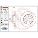 Purchase Top-Quality Rear Premium Rotor by BREMBO - 08.D530.13 pa5