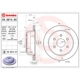 Purchase Top-Quality Rear Premium Rotor by BREMBO - 09.8810.81 pa3