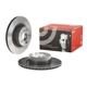 Purchase Top-Quality BREMBO - 09.B569.11 - Rear Premium Rotor pa4