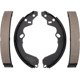 Purchase Top-Quality Rear Premium Shoes by RAYBESTOS - 667PG pa2