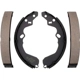 Purchase Top-Quality Rear Premium Shoes by RAYBESTOS - 667PG pa7