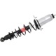 Purchase Top-Quality Rear Quick Strut Assembly by MONROE - 172496L pa3