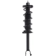 Purchase Top-Quality MONROE/EXPERT SERIES - 173175R - Rear Passenger Side Complete Strut Assembly pa1