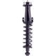 Purchase Top-Quality MONROE/EXPERT SERIES - 173370 - Rear Driver or Passenger Side Complete Strut Assembly pa1