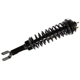 Purchase Top-Quality MONROE/EXPERT SERIES - 181292 - Rear Driver or Passenger Side Complete Strut Assembly pa1