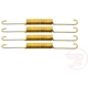 Purchase Top-Quality Rear Return Spring Set by RAYBESTOS - H10377 pa3