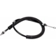 Purchase Top-Quality Rear Right Brake Cable by DORMAN/FIRST STOP - C660556 pa3