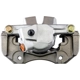 Purchase Top-Quality PROMECANIX - 10-06256-1 - Disc Brake Caliper pa3