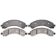 Purchase Top-Quality Rear Semi Metallic Pads by RAYBESTOS - PGD989M pa9