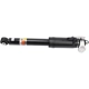 Purchase Top-Quality ACDELCO - 84230450 - Rear Shock Absorber pa1