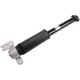 Purchase Top-Quality ACDELCO - 84912400 - Rear Shock Absorber pa2