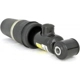 Purchase Top-Quality Rear Shock Absorber by ARNOTT - AS2125 pa3