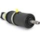 Purchase Top-Quality Rear Shock Absorber by ARNOTT - AS2125 pa7