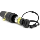 Purchase Top-Quality Rear Shock Absorber by ARNOTT - AS2163 pa1