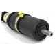 Purchase Top-Quality Rear Shock Absorber by ARNOTT - AS2163 pa2