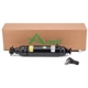 Purchase Top-Quality Rear Shock Absorber by ARNOTT - AS2950 pa1