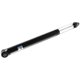 Purchase Top-Quality BILSTEIN - 19-029429 - Rear Shock Absorber pa10