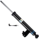 Purchase Top-Quality BILSTEIN - 20-255831 - Shock Absorber pa1