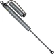 Purchase Top-Quality BILSTEIN - 25-311808 - Shock Absorber pa2