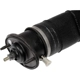 Purchase Top-Quality DORMAN (OE SOLUTIONS) - 949-723 - Active Air Suspension Air Shock pa3