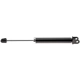 Purchase Top-Quality EVOLUTION - V5622 - Rear Shock Absorber pa4