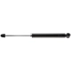 Purchase Top-Quality Rear Shock Absorber by EVOLUTION - V5699 pa3
