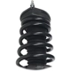 Purchase Top-Quality FCS AUTOMOTIVE - 342770 - Rear Shock Absorber pa6