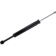 Purchase Top-Quality Rear Shock Absorber by FCS AUTOMOTIVE - 346832 pa1