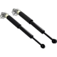 Purchase Top-Quality Rear Shock Absorber by FCS AUTOMOTIVE - 8346832RL pa2