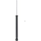 Purchase Top-Quality Rear Shock Absorber by MONROE/EXPERT SERIES - 210016 pa1