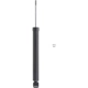 Purchase Top-Quality Rear Shock Absorber by MONROE/EXPERT SERIES - 210024 pa1