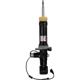 Purchase Top-Quality MOTORCRAFT - ASH85883 - Rear Shock Absorber pa1