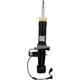 Purchase Top-Quality MOTORCRAFT - ASH85885 - Rear Shock Absorber pa2