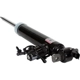 Purchase Top-Quality MOTORCRAFT - ASH85912 - Rear Driver Side Shock Absorber pa3