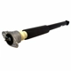 Purchase Top-Quality Rear Shock Absorber by MOTORCRAFT - ASH12221 pa1