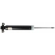 Purchase Top-Quality Rear Shock Absorber by MOTORCRAFT - ASH24572 pa7