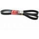 Purchase Top-Quality Rear Shock Absorber by MOTORCRAFT - ASH797 pa9