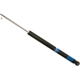 Purchase Top-Quality SACHS - 313-419 - Rear Shock Absorber pa1