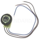 Purchase Top-Quality Rear Side Marker Light Socket by BLUE STREAK (HYGRADE MOTOR) - S584 pa22