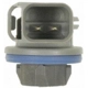 Purchase Top-Quality Rear Side Marker Light Socket by BLUE STREAK (HYGRADE MOTOR) - S923 pa28